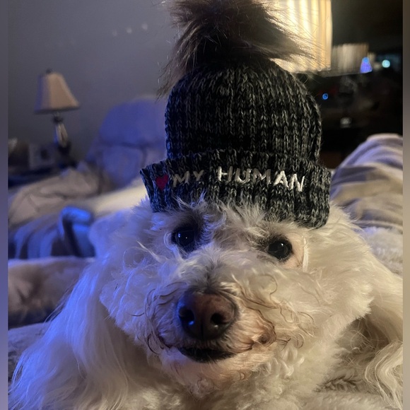 🆕 Matching Dog & Owner Beanie - I Love My Dog /I Love My Human - Picture 4 of 17